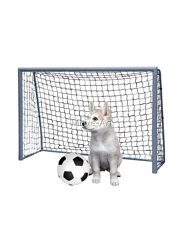 Kids Football Goal Post, Ball and Tee