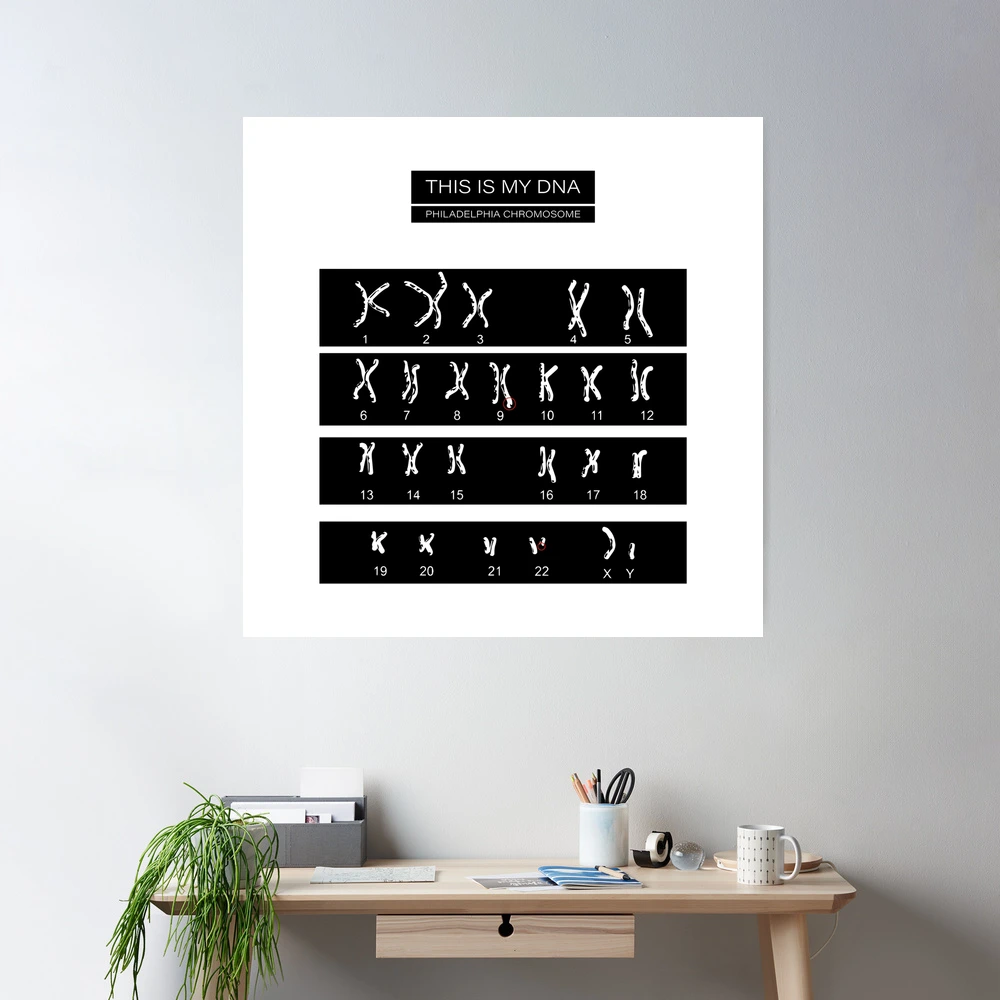 Karyotype DNA Philadelphia chromosome Poster by Myk Ado | Redbubble