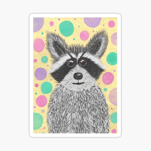 Raccoon Pegatina
