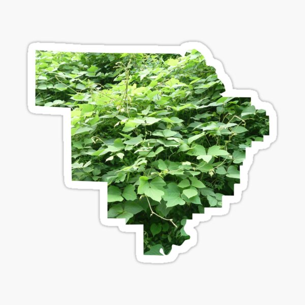 Kudzu Kingdom - Walker County, AL Sticker