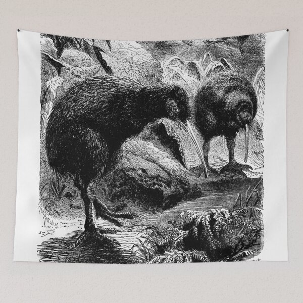 Item preview, Curious Apteryx or Kiwi designed and sold by hausofwheat.