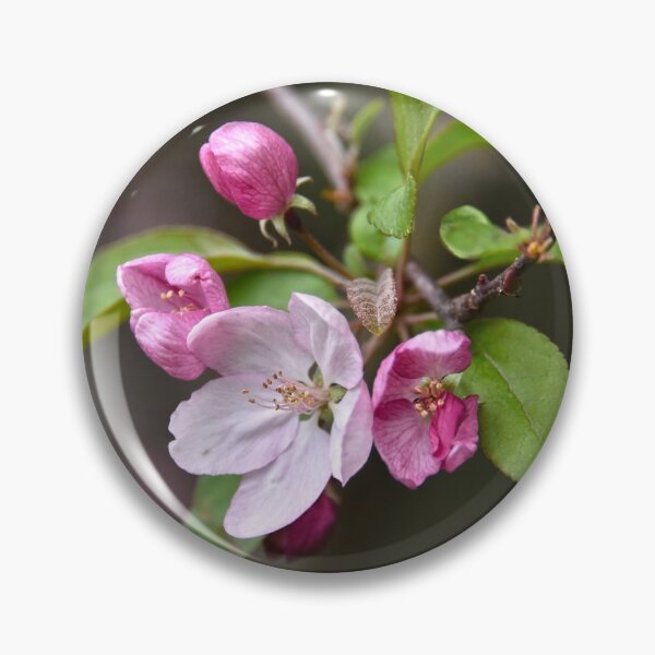 Item preview, Crab Apple Flowers designed and sold by Catherine Sherman.