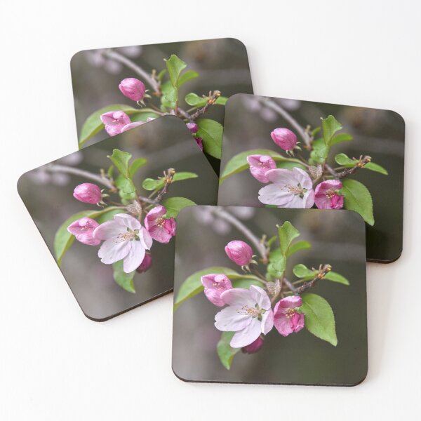 Item preview, Crab Apple Flowers designed and sold by Catherine Sherman.