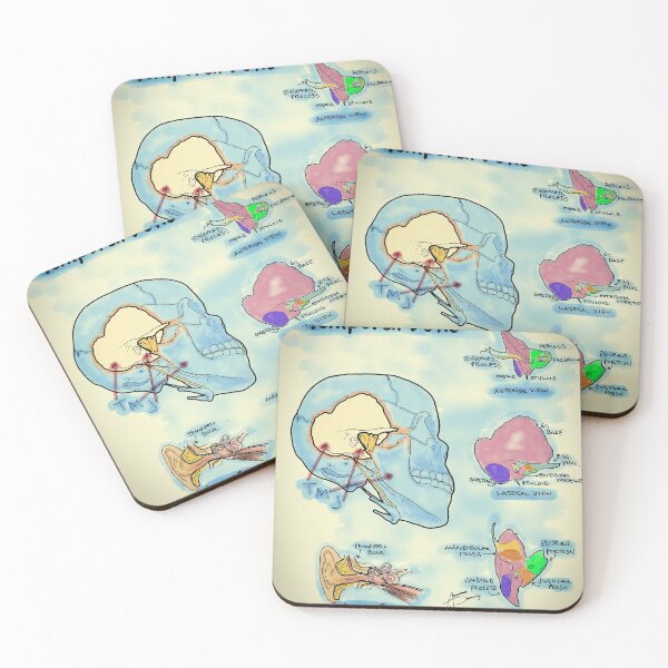 Item preview, Temporal Bone designed and sold by AdaptablePolar.