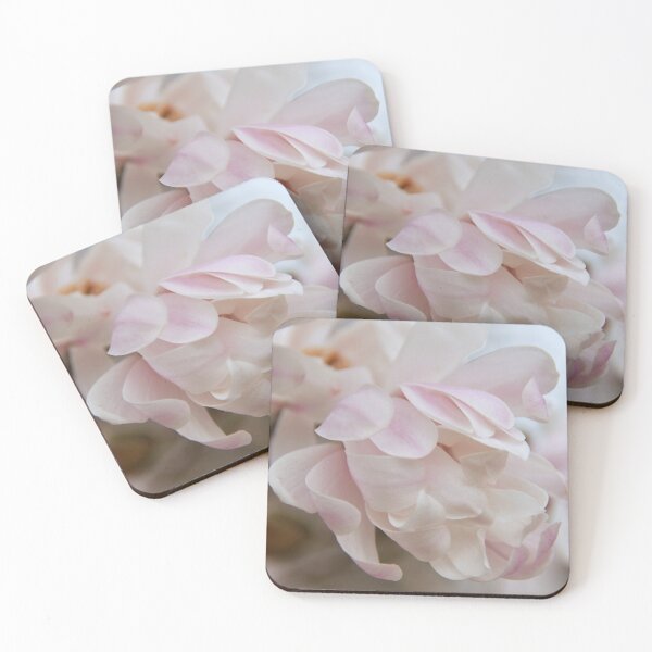 Item preview, Star Magnolia wakening... designed and sold by Poete100.