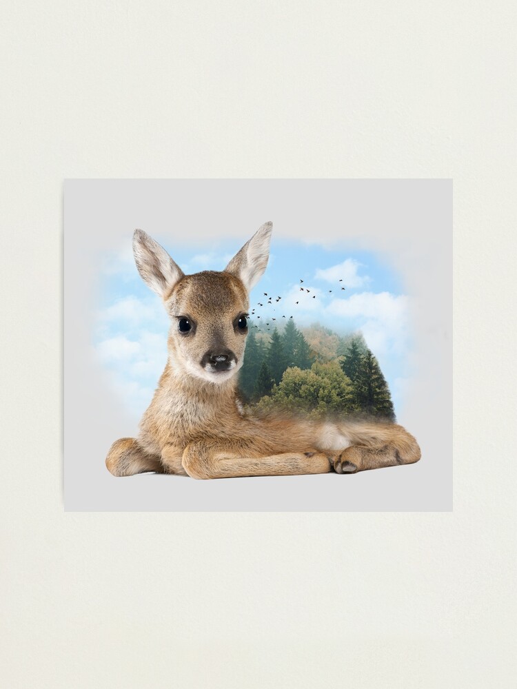 Impression Photo Bebe Chevreuil Par Sokolselmani Redbubble