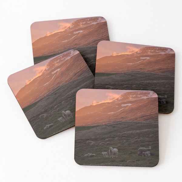 Item preview, Icelandic sheep in the midnight sun designed and sold by elisainiceland.