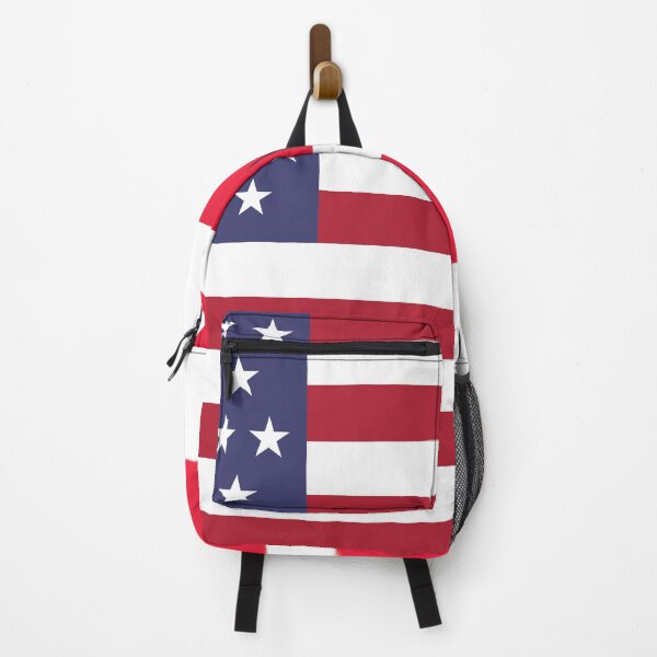 Item preview, Washington DC and 51 Stars US Flag Composition designed and sold by VexillologyShop.