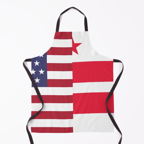 Item preview, Washington DC and 51 Stars US Flag Composition designed and sold by VexillologyShop.