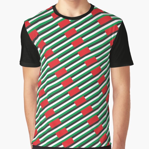 uae national day Graphic T-Shirt