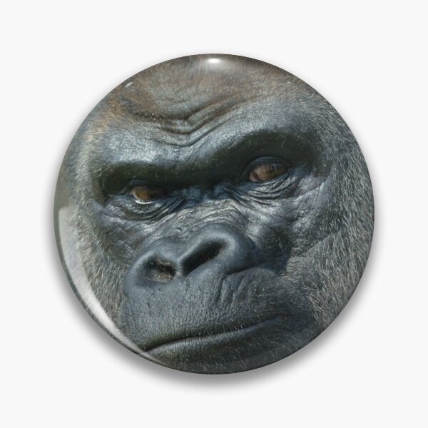 Item preview, Retrato de Oumbi espalda plateada designed and sold by rawshutterbug.