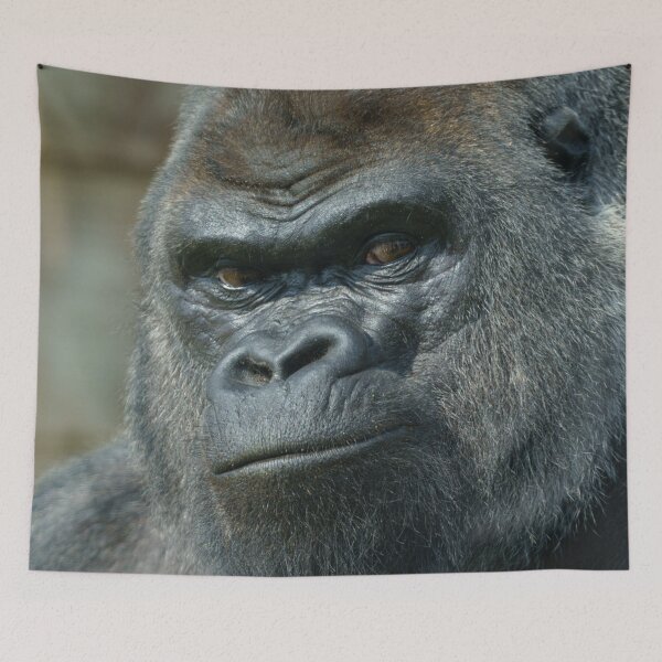 Item preview, Silverback Oumbi Portrait designed and sold by rawshutterbug.
