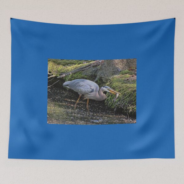 Item preview, Fish Stories Told Here  designed and sold by Lanis Rossi.