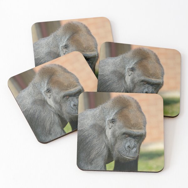 Item preview, Gorilla Close-Up designed and sold by rawshutterbug.
