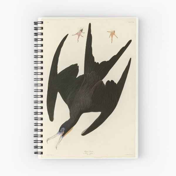 Item preview, 271 Frigate Pelican designed and sold by Bird-Lore.