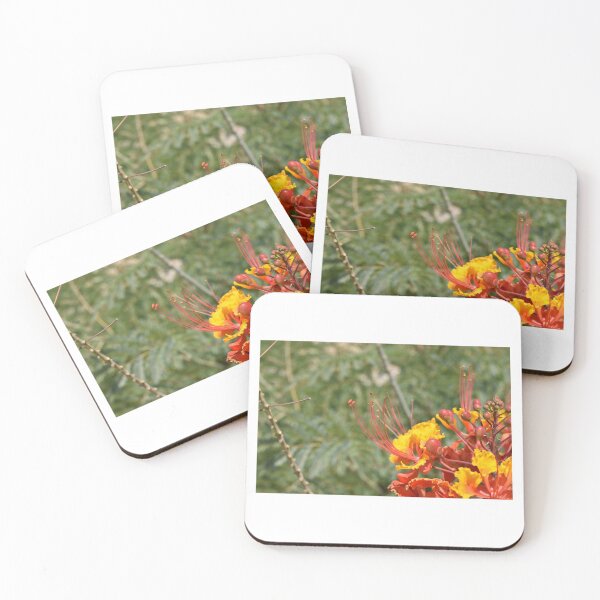 Item preview, Nature  designed and sold by Erica7starr.