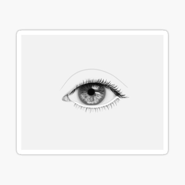 Realistic Eyeball, Unfinished Eyelid Drawing + Eyelashes (White / Black and White Print) Sticker