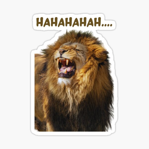 Funny Laughing Lion