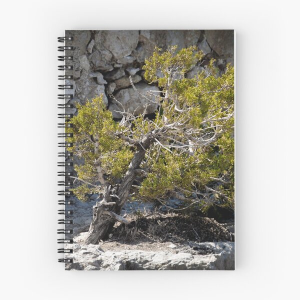 Item preview, mystic Tree designed and sold by OE993.