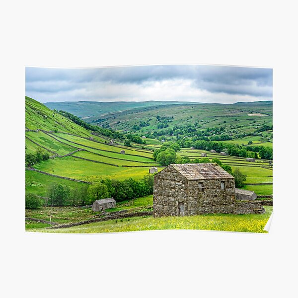 Dales Barns in Swaledale Poster