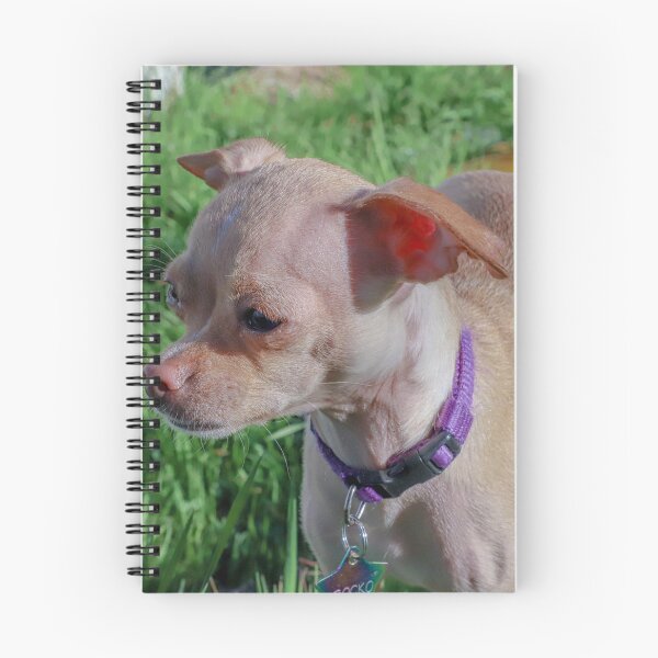 Item preview, My dog Rocko designed and sold by MimiFoxx.