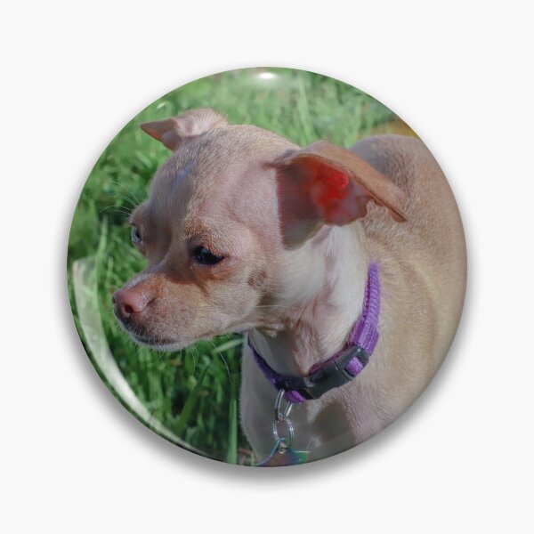 Item preview, My dog Rocko designed and sold by MimiFoxx.