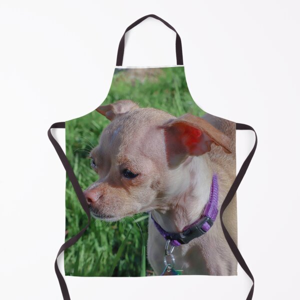 Item preview, My dog Rocko designed and sold by MimiFoxx.