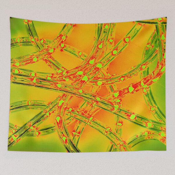 Item preview, Neuro Light designed and sold by essentialimage.