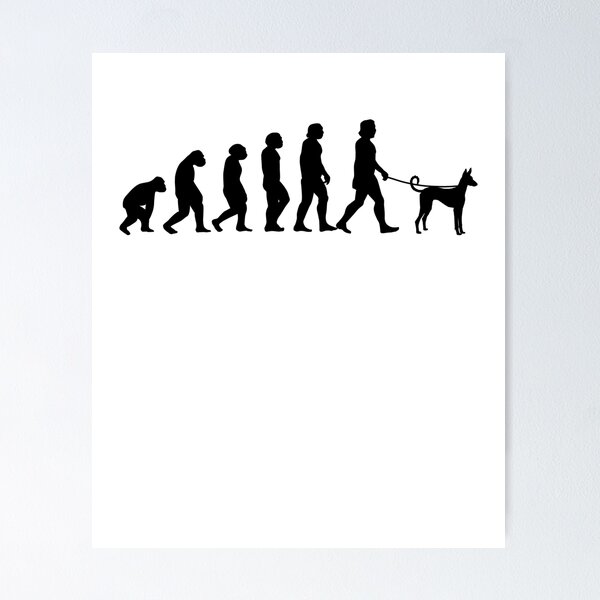 Item preview, Podenco evolution spanish hunting dog gift designed and sold by madgrfx.