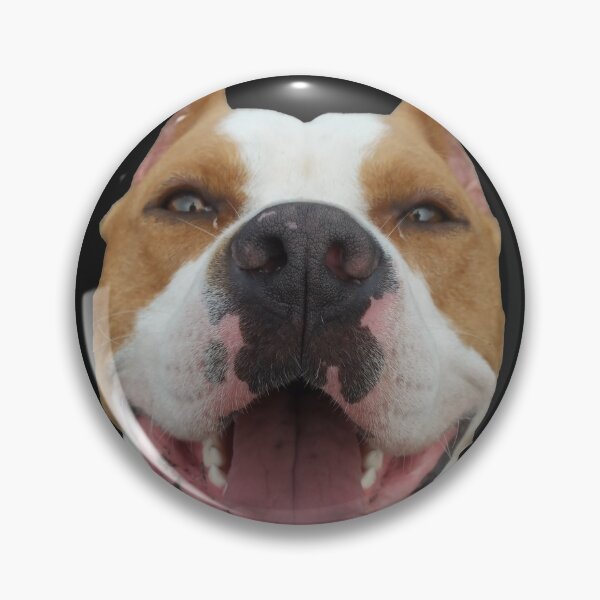 Item preview, Staff dog / Team Staff designed and sold by thenewking.