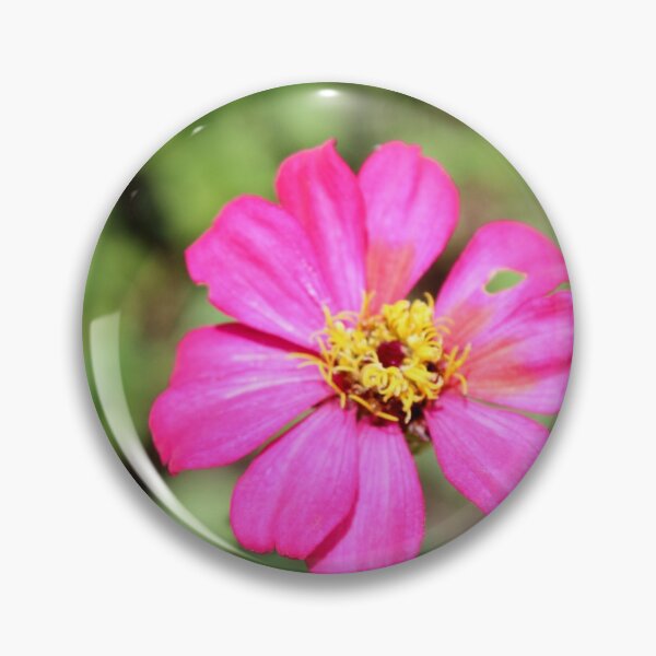 Item preview, Cosmos flower designed and sold by ynaffits18.