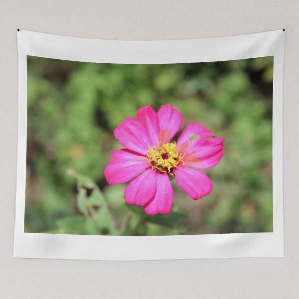 Item preview, Cosmos flower designed and sold by ynaffits18.