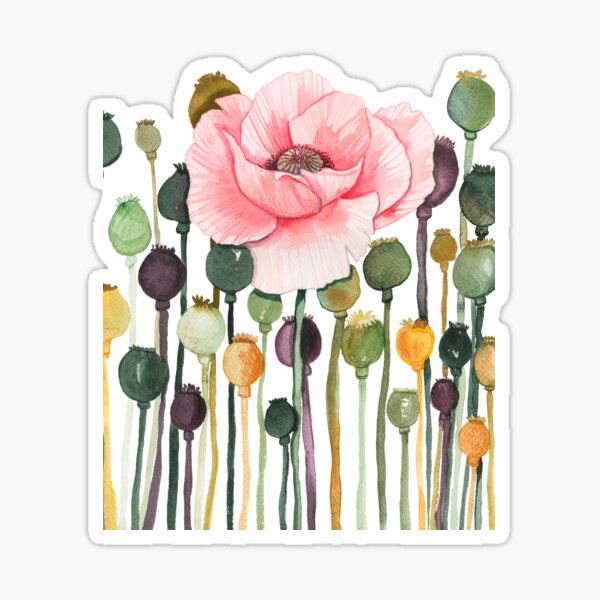Capsules de Pavots Sticker