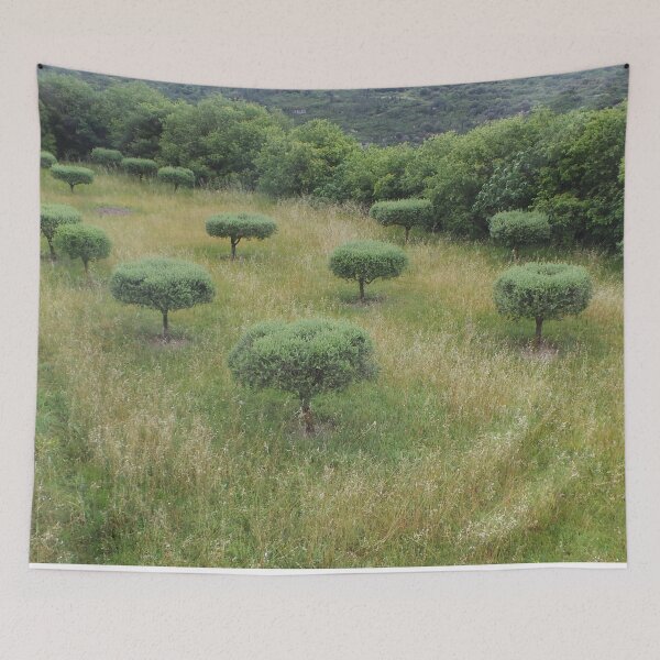 Item preview, Olive Trees designed and sold by GasconyPassion.