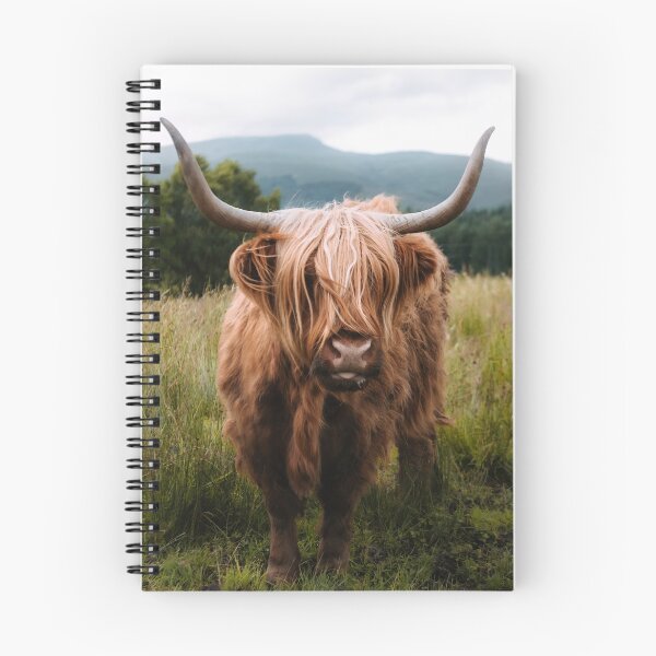 Item preview, Wooly Cow – Scottish Highland Cattle in Scotland designed and sold by regnumsaturni.