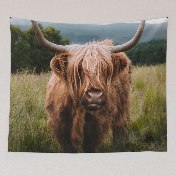 Item preview, Wooly Cow – Scottish Highland Cattle in Scotland designed and sold by regnumsaturni.