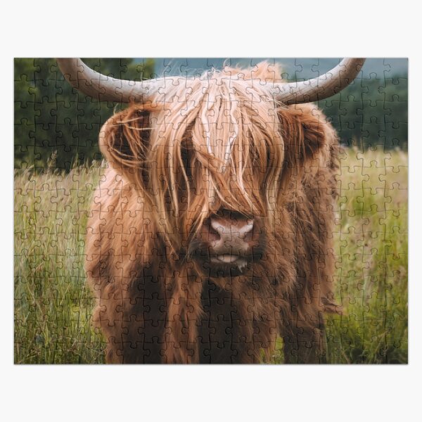 Artikel-Vorschau von Wooly Cow – Schottisches Hochlandrind in Schottland, designt und verkauft von regnumsaturni.