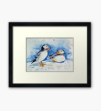 Puffins Framed Print