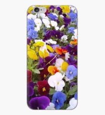 Pansies iPhone Case