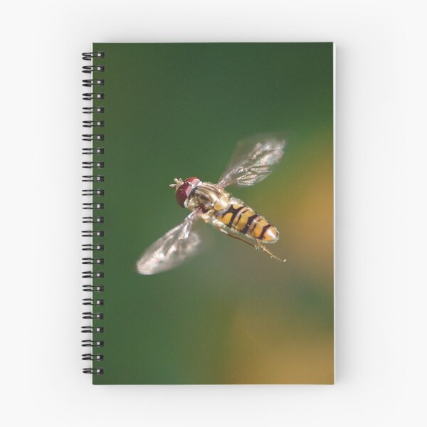 Item preview, The Hoverfly designed and sold by Declan Carr.