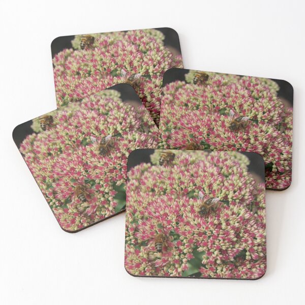 Item preview, Bees on a flower designed and sold by Oddbells.