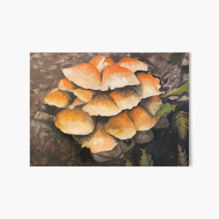 Pholiota squarrosa Art Board Print