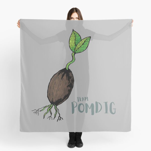 TEAM POMDIG Scarf
