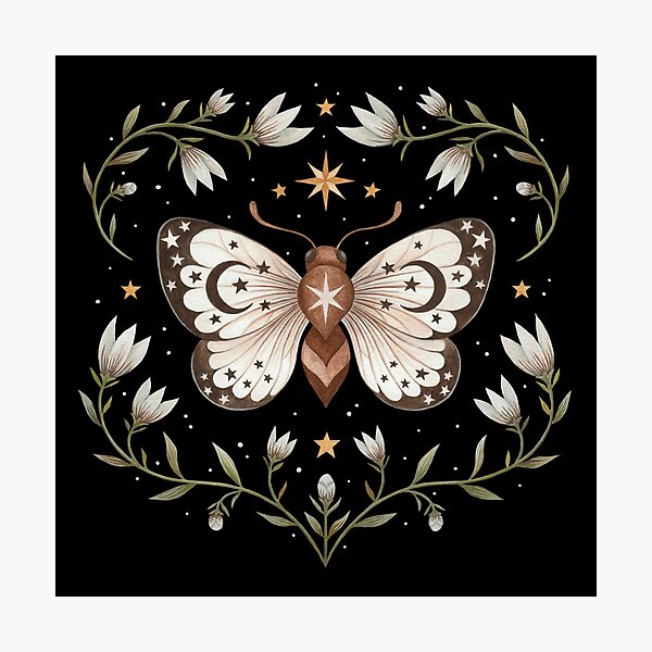 Magical wings Photographic Print