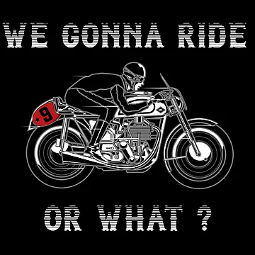 Artwork thumbnail, We Gonna Ride or What ? by RomeoSketches