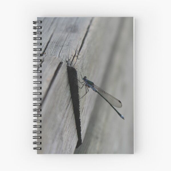 Item preview, Dragonfly - Photograph designed and sold by NoCoastShop.