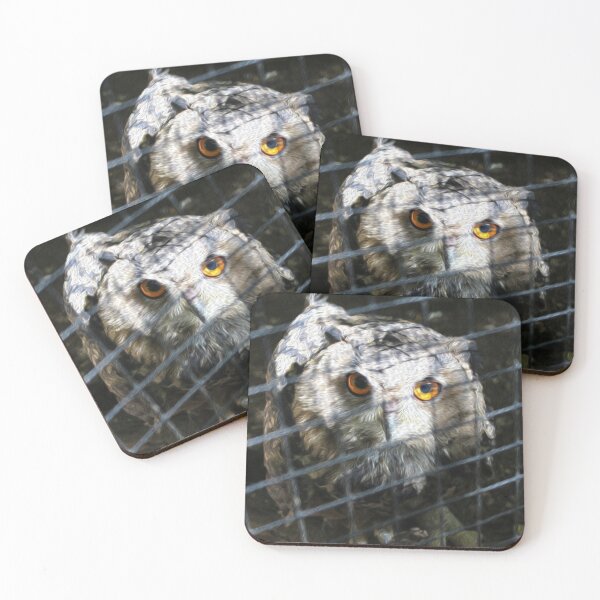 Item preview, Owl - Photography designed and sold by NoCoastShop.