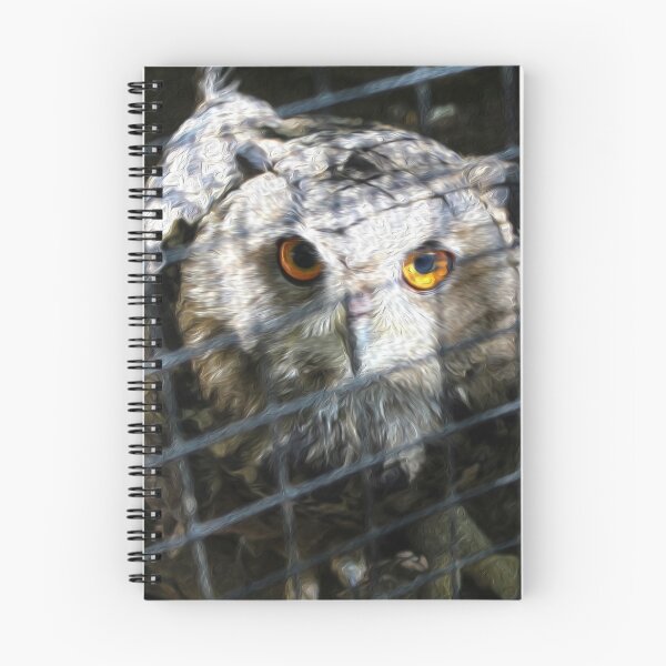 Item preview, Owl - Photography designed and sold by NoCoastShop.