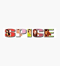 SPICE Photographic Print
