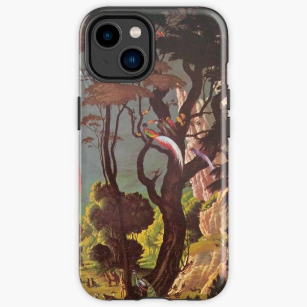 St Lucia Traditional Fishing Traps iPhone Case